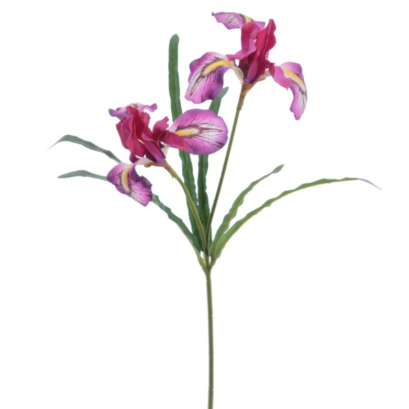 IRIS 54 CMS (4765-16)