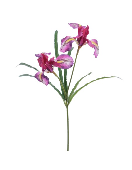 IRIS 54 CMS (4765-16)
