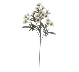 MARGARITAS 60 CMS (4849-01)