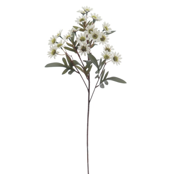 MARGARITAS 60 CMS (4849-01)