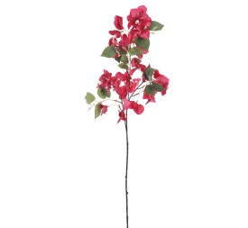 BOUGANVILLEA 78 CMS (6275-07)