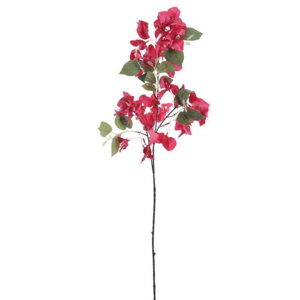 BOUGANVILLEA 78 CMS (6275-07)