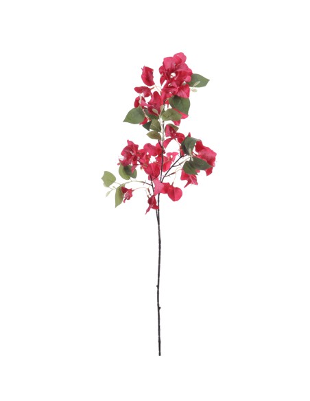 BOUGANVILLEA 78 CMS (6275-07)