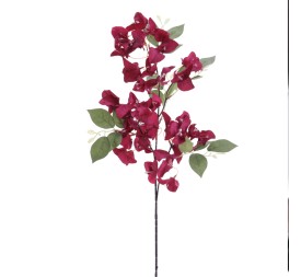 BOUGANVILLEA 78 CMS (6275-77)