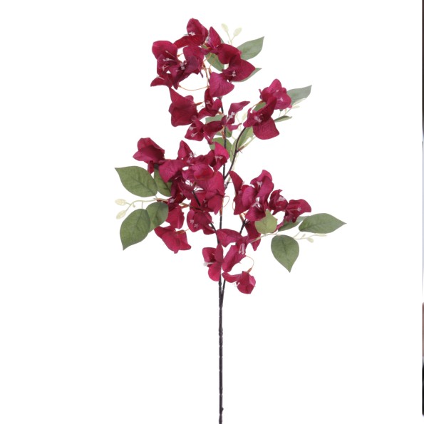 BOUGANVILLEA 78 CMS (6275-77)