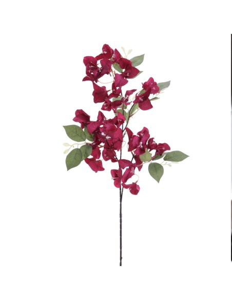 BOUGANVILLEA 78 CMS (6275-77)