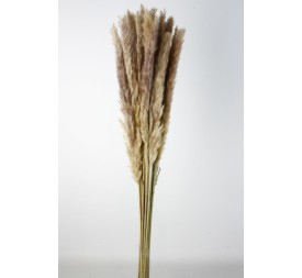 PLUMA DECORATIVA 50/60 CMS. (01 NATURAL)