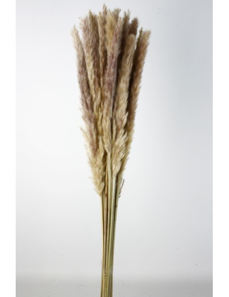 PLUMA DECORATIVA 50/60 CMS. (01 NATURAL)