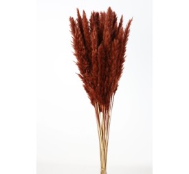 PLUMA DECORATIVA 50/60 CMS Marron (32)
