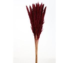 PLUMA DECORATIVA 50/60 CMS (57 ROJO)