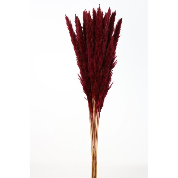 PLUMA DECORATIVA 50/60 CMS (57 ROJO)