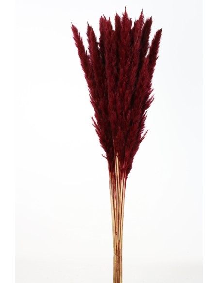 PLUMA DECORATIVA 50/60 CMS (57 ROJO)