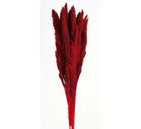 PLUMA DECORATIVA 50/60 cms. ROJO (54)