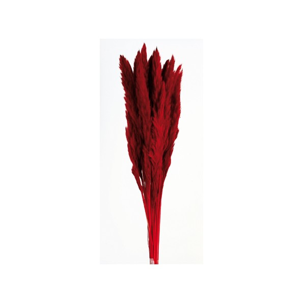 PLUMA DECORATIVA 50/60 cms. ROJO (54)