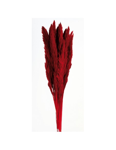 PLUMA DECORATIVA 50/60 cms. ROJO (54)