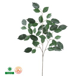 FICUS UV FR 78 CMS (1112-09)
