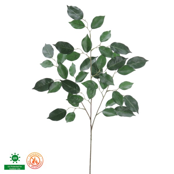 FICUS UV FR 78 CMS (1112-09)