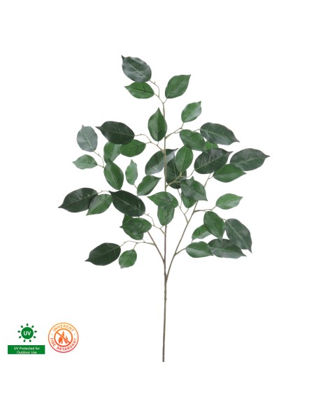 FICUS UV FR 78 CMS (1112-09)