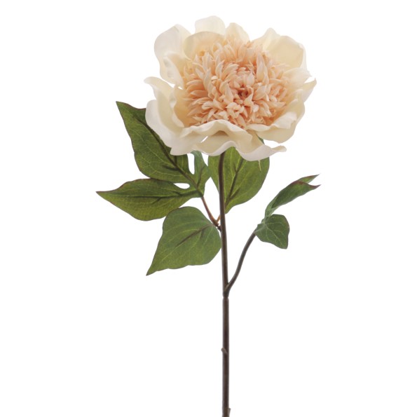 RANUNCULUS 64 CMS (1441-01)