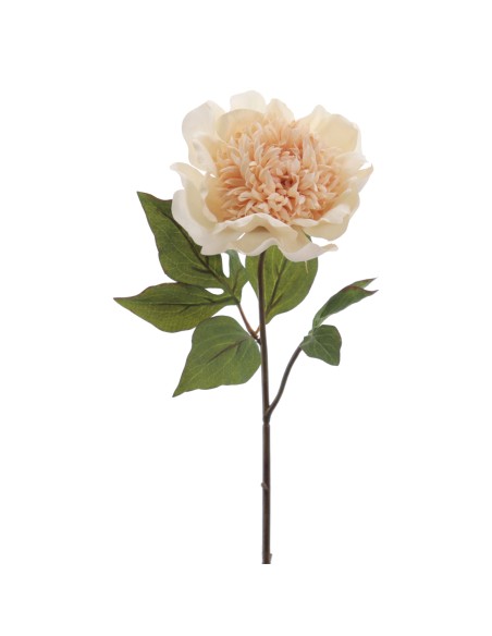 RANUNCULUS 64 CMS (1441-01)