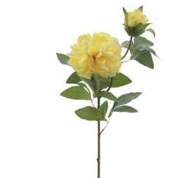 PEONIA X 2 66 CMS (2501-02)