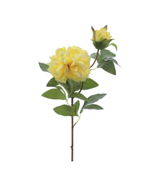PEONIA X 2 66 CMS (2501-02)