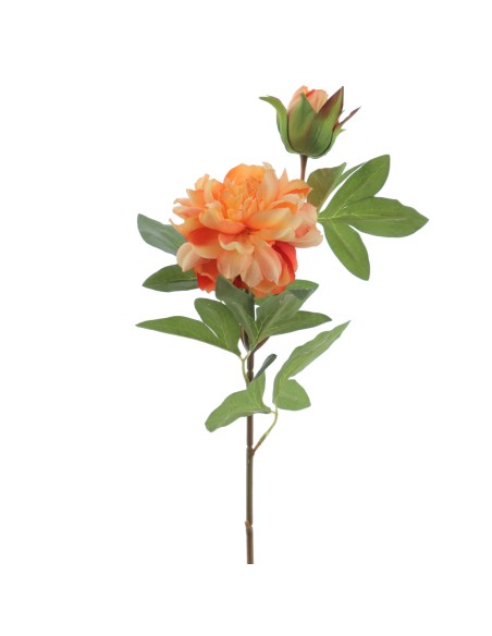 PEONIA X 2 66 CMS (2501-15)
