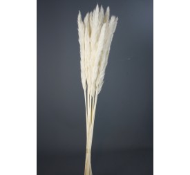 PLUMA DECORATIVA 50/60 cms. (00 BLANCO)