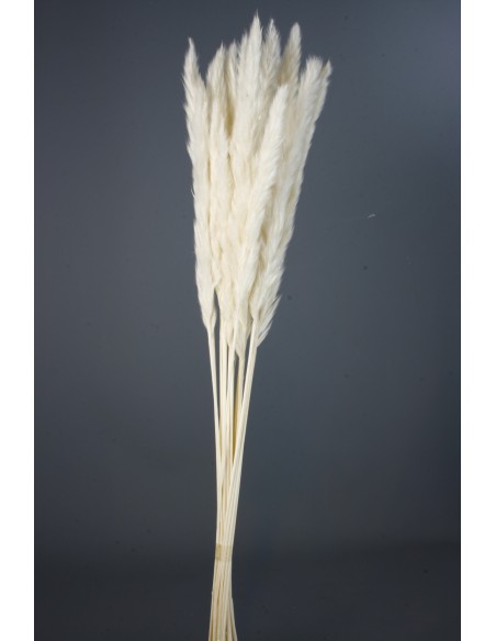 PLUMA DECORATIVA 50/60 cms. (00 BLANCO)