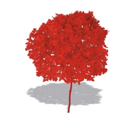 HYDRANGEA CABEZA PRESS ROJO (B54)
