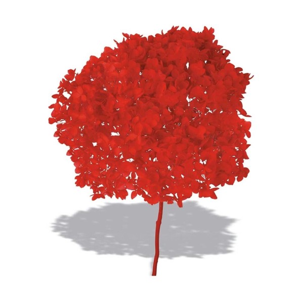 HYDRANGEA CABEZA PRESS ROJO (B54)
