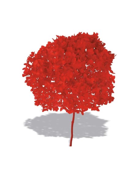 HYDRANGEA CABEZA PRESS ROJO (B54)