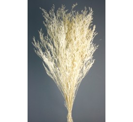 CASPIA PRESS 70 cms. BLANCO (00)