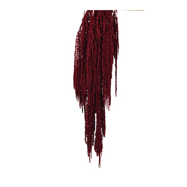 AMARANTHUS CAUDATUS PRES. 50/80 cms. ROJO (57)
