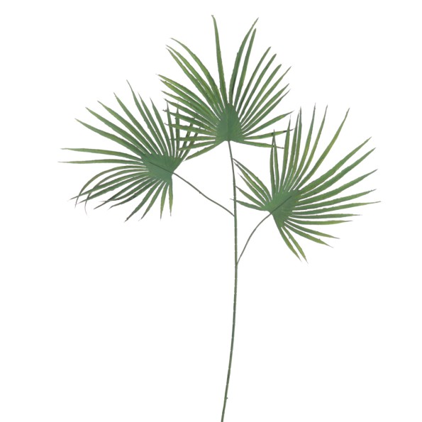 HOJA PALMITO 70 CMS (2052-09)