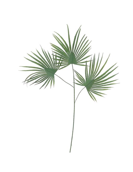 HOJA PALMITO 70 CMS (2052-09)