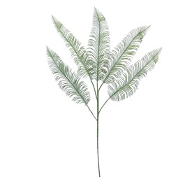 HOJA CYCAS X 5 86 CMS (2054-09)