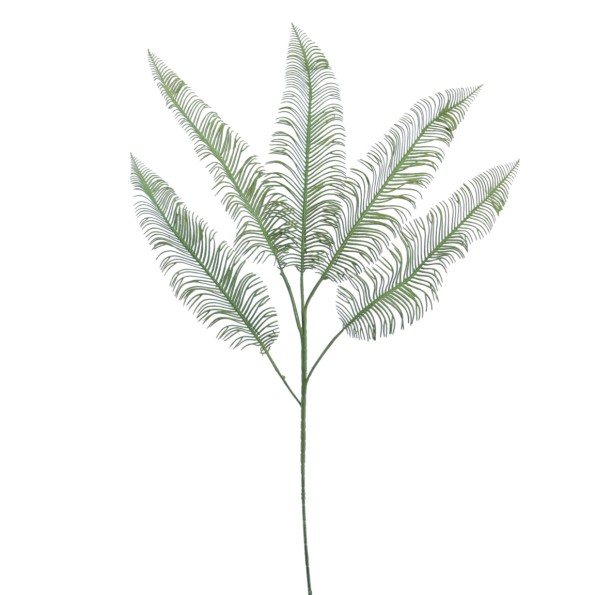 HOJA CYCAS X 5 86 CMS (2054-09)