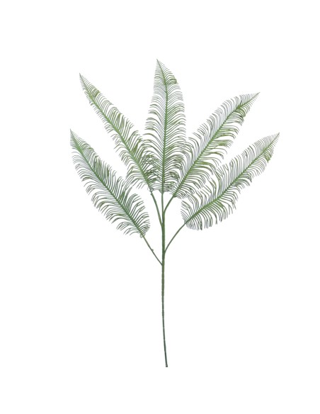 HOJA CYCAS X 5 86 CMS (2054-09)