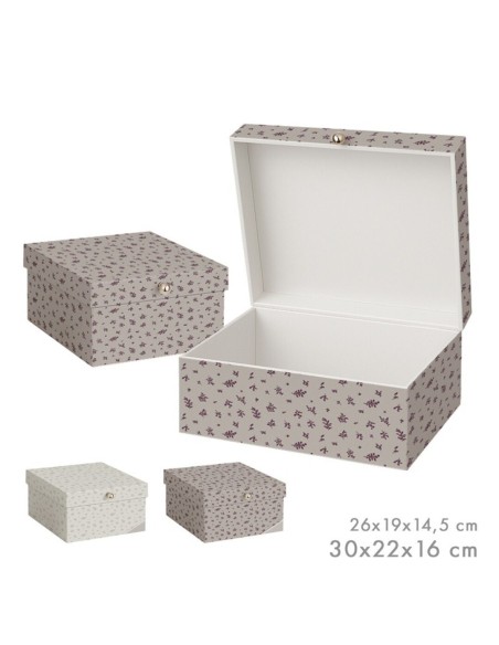 SET 2 CAJAS BASIC HOJAS SURT/2