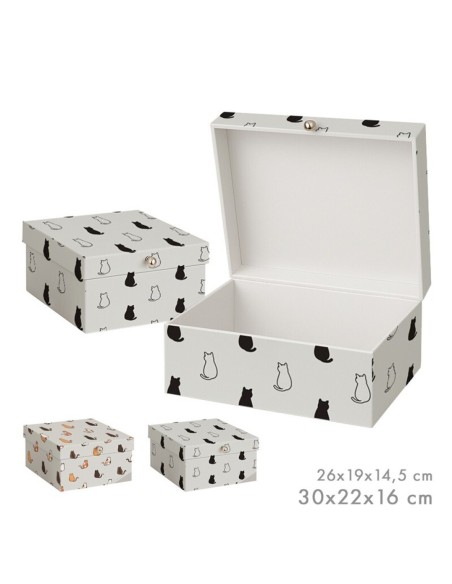 SET DE 2 CAJAS CATS SURT/2