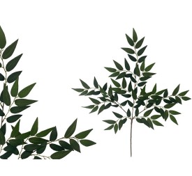 VARA HOJAS DE RUSCUS X 91 - 69 CM