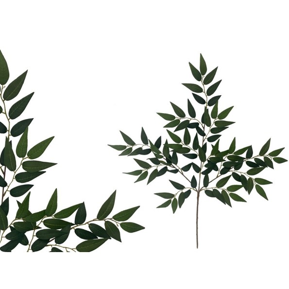 VARA HOJAS DE RUSCUS X 91 - 69 CM