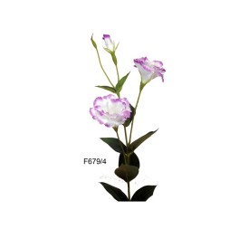 R.LISANTHUNX2 BLA/LI.82cm(7cm)