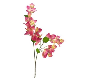 R.BUGANVILLA POLISTER FUCSHIA 75cm