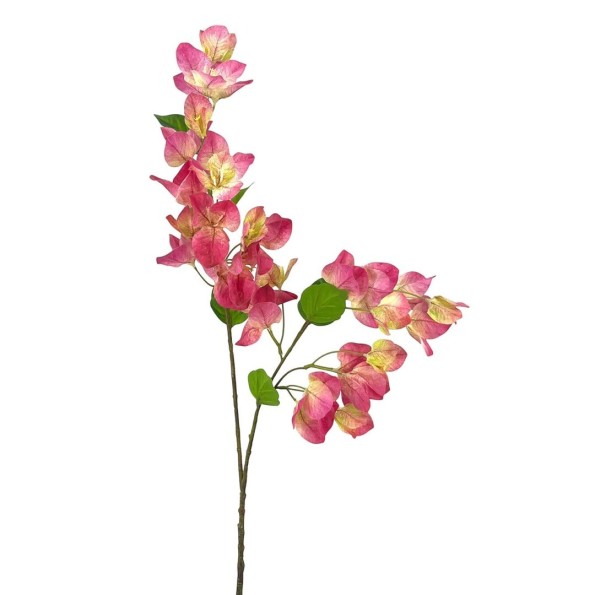 R.BUGANVILLA POLISTER FUCSHIA 75cm