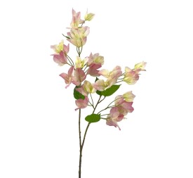 R.BUGANVILLA POLISTER ROSA 75cm