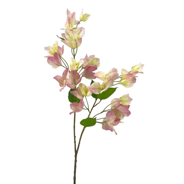 R.BUGANVILLA POLISTER ROSA 75cm