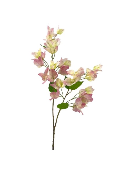 R.BUGANVILLA POLISTER ROSA 75cm
