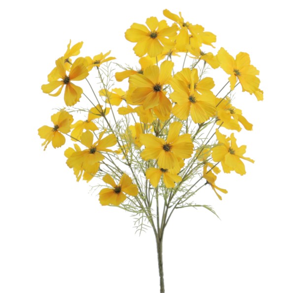 RAMO COSMOS (5205-02)
